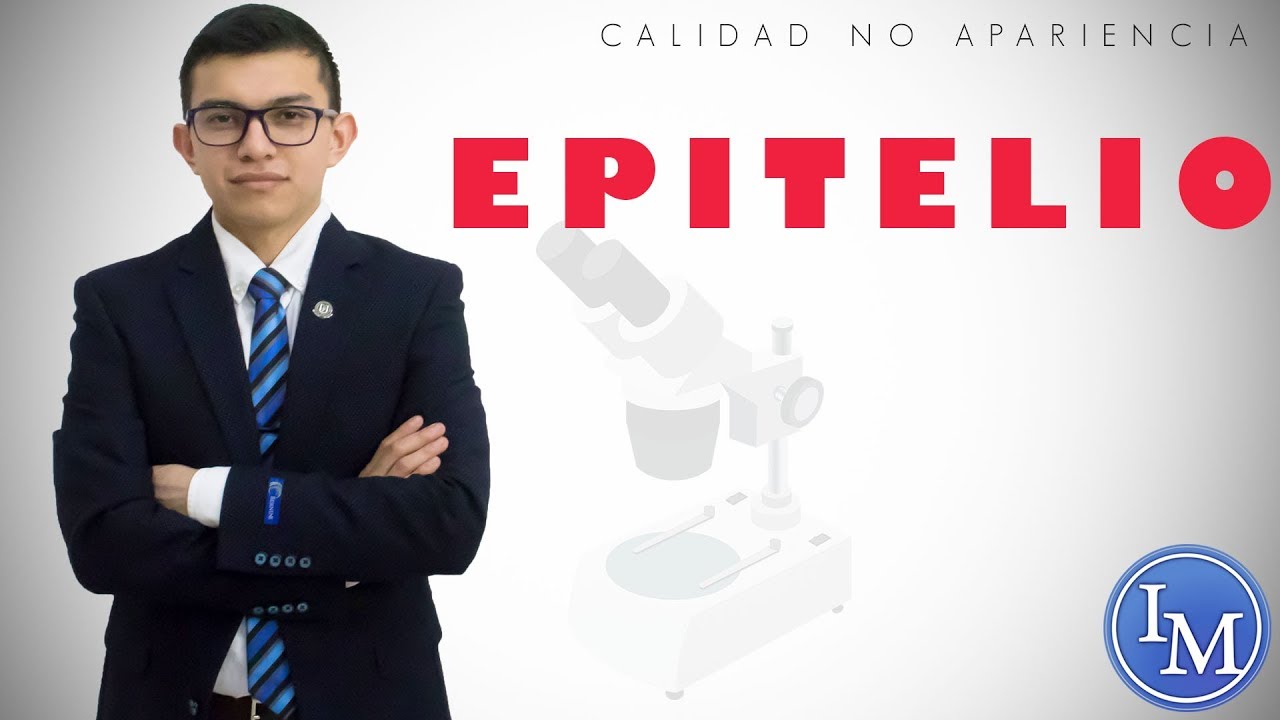 Histología | Epitelio | Generalidades