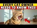 Cat Vomiting Hairballs Causes Prevention And When To See A Vet