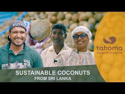 Cocos Sustentáveis ​​da Sri Lanka