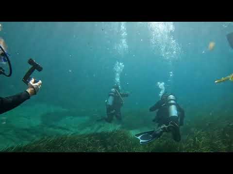 Rainbow River drift dive with the Dive O'clock Crew