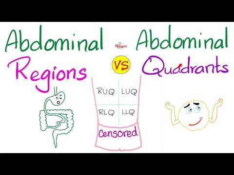 Abdominal Regions VS Abdominal Quadrants | Anatomy