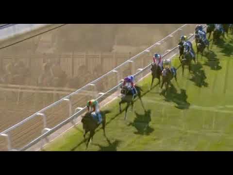 NEBRAAS - DSTV GOLD VASE (Grade 3)