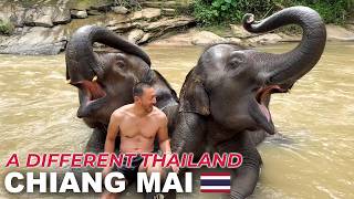 This Is NOT the Thailand You Expect | Chiang Mai 🇹🇭