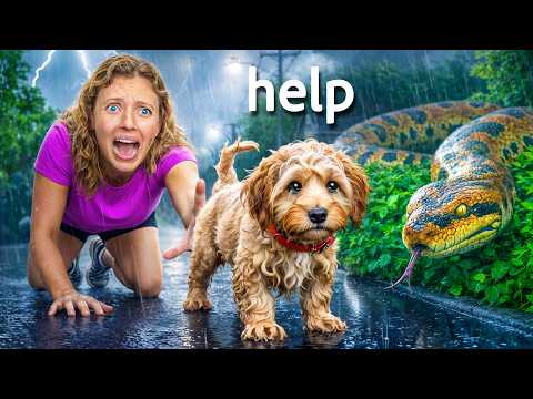 I Rescued My PUPPY From a Giant SNAKE ATTACK...