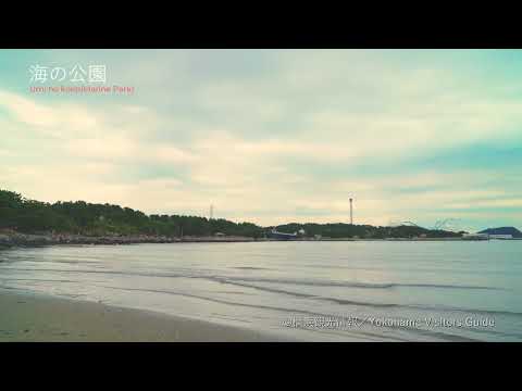 海の公園