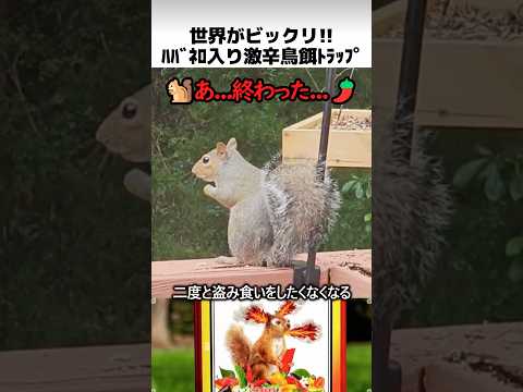 鳥類飼育員のハバネロ混入トラップ🌶️
