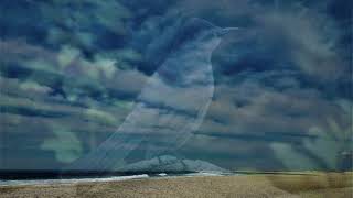 A Love Like This - Dan Fogelberg