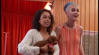 Katy Perry:  Witness World Wide  - June 11, 2017 [Morning]