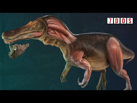 A New Spinosaur Has Just Been Revealed | 7 Days of Science