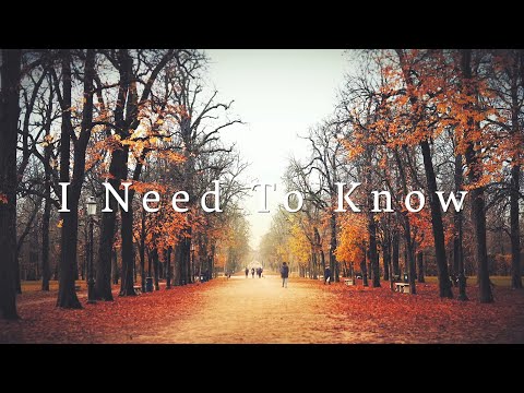 Ledisi - I Need To Know (Official Lyric Video)