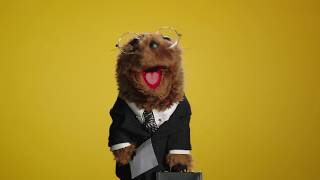 A Groundhog Day Message from Joe the Legal Weasel | The Muppets