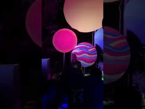 Rica Amaral Geometria da vida Anápolis Goiás Agosto 2023