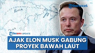 Ajudan Putin Ajak Elon Musk Join Proyek Gila Terowongan Putin-Trump Bawah Laut: Jembatan Perdamaian