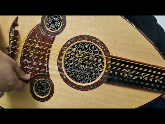 عود موسيقي - شروق _طارق عزوز 20033