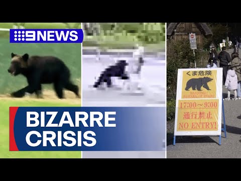 Japan faces strange crisis | 9 News Australia