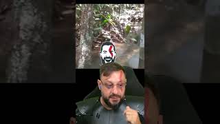 Bora pescar nesse córrego em Rio Verde MT? Sucuri pegou capivara #anaconda #biologohenrique #biologo