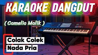 Download lagu COLAK COLEK - CAMELIA MALIK - || KARAOKE NADA PRIA mp3