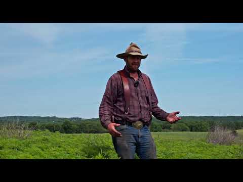Ragweed Control in a Native Warm Season Grass Pasture