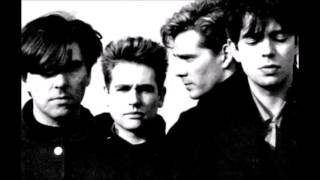Echo &amp; The Bunnymen... Pictures On My Wall