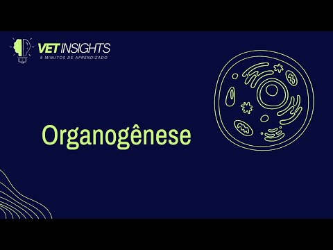 1. Organogênese