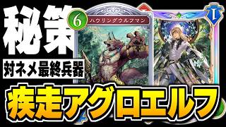 公式大会準優勝者が使って話題に、新環境で『アグロエルフ』が実は勝てるようになった！？【シャドバWB/Shadowverse: Worlds Beyond】