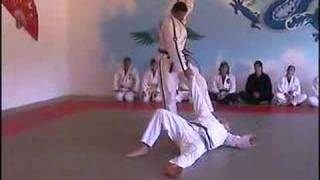 preview picture of video 'Jiu-Jitsu Demonstration'
