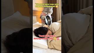 Download lagu “Kucing Ngamuk! Babu Masih Tidur 😾🔥”#shortsviral #catshorts #kucinglucu #komedi #lucu #ngakak #pets mp3