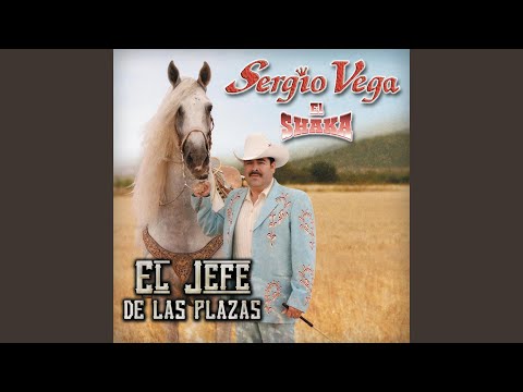 download lagu mp3 mp4 El Santo De La Palma Sergio Vega, download lagu El Santo De La Palma Sergio Vega gratis, unduh video klip Download El Santo De La Palma Sergio Vega Mp3 dan Mp4 Popular Gratis