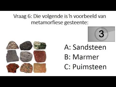 LEWENSWETENSKAP GRAAD 9: 18 Junie 2020 - periode 7 (18097)