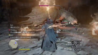 ドラゴンズドグマDA6