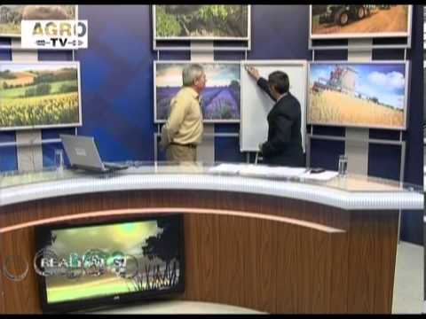 Realitati si Perspective 31 03 2013