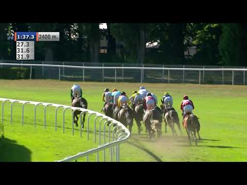 16.08.2020 (D24; G5; Tor: 2,5; 28°C) Nagroda Liry (Oaks) - L (kat.A)