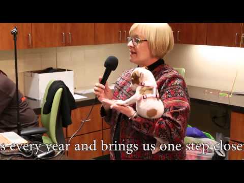 Paul Jolly Adoption Center Now Open