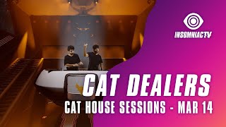 Cat Dealers - Hypnotized video