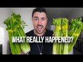 I Drank CELERY JUICE For 7 Days And This Is What Happened