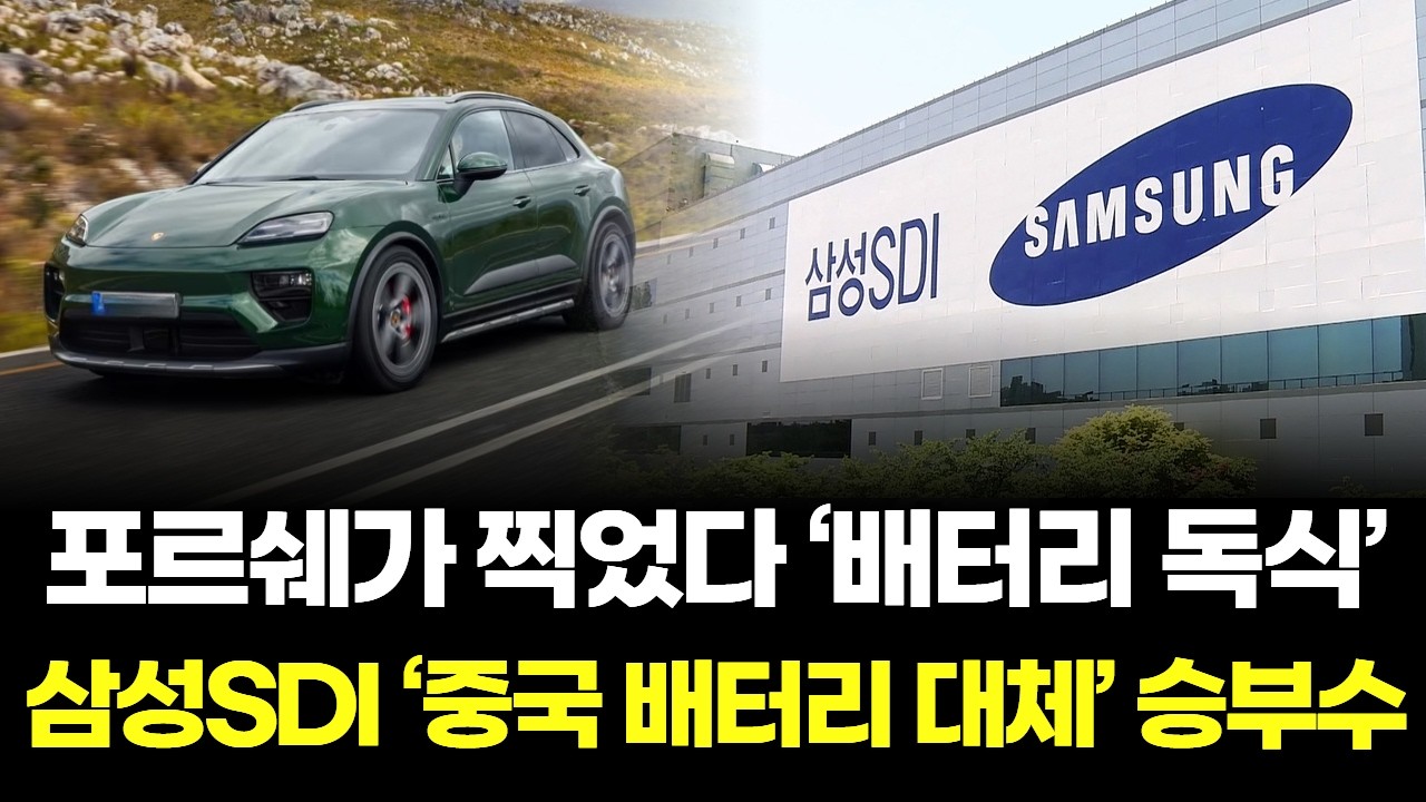 포르쉐도 중국산 대신 찜한 삼성SDI, ESS와 로봇으로 영토 전격 확장