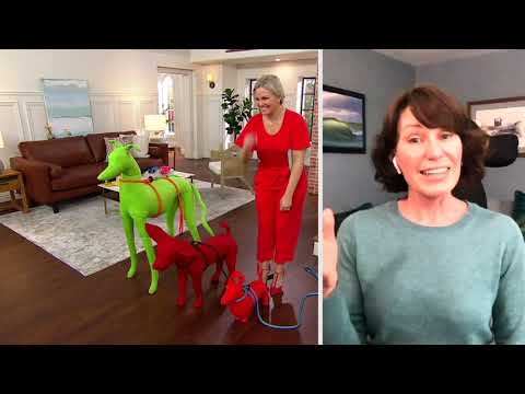 Geschirrleine 2-in-1 Geschirr & Leine mit Gummistoppern bei QVC