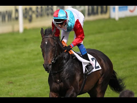 Baden-Baden: Preis der Annette Hellwig Stiftung - Silberne Peitsche (Gr. III) - Sieger: Millowitsch