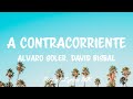 Alvaro Soler, David Bisbal - A Contracorriente (Letra/Lyrics) Alvaro Soler, David Bisbal - A Contracorriente (Letra/Lyrics)