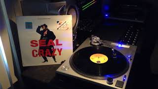 Seal ‎– Crazy (Chick On My Tip Mix) Vinyl 1990