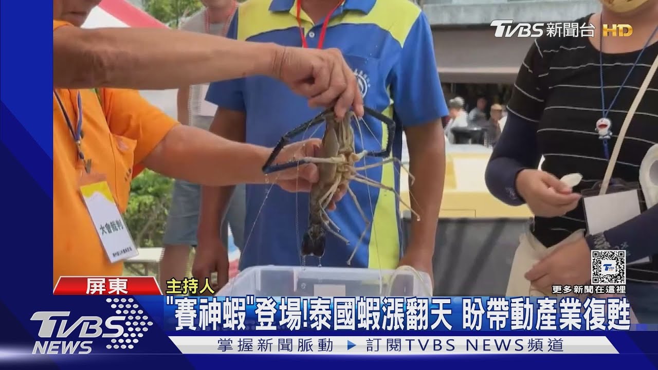 泰國蝦缺貨價格高漲！　蝦農疑蝦苗出問題養不大
