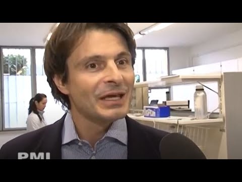 Pegni Lohan di una lentiggine Viola di lentiggini di ciliegia di CE