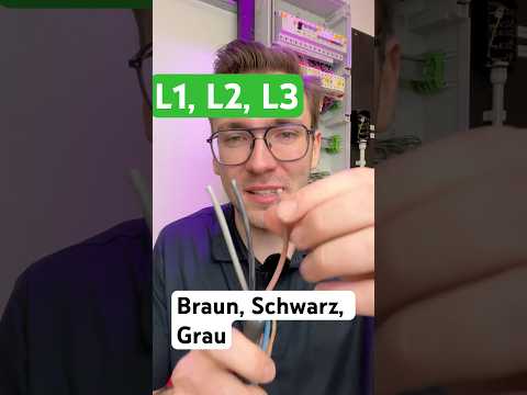 Which vein is for what? L1, L2, L3 – the best mnemonic devices! (Short video)