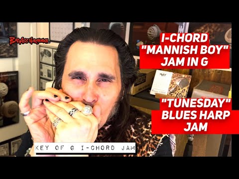 How To Not Suck with a Mannish Groove!🎵- Blues Harmonica Jam  - Blues Harp Licks  - Tunesday 98