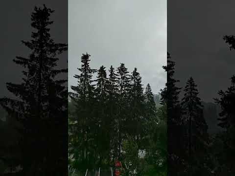 Nyt alko sataan 🌨️👎🏻