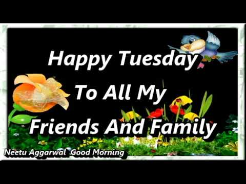 Happy Tuesday Whatsapp Video,Good Morning Happy Tuesday Wishes,Happy Tuesday Status,Greetings,Quotes