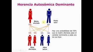 Genética T4A: Herencia autosómica dominante - Biología Celular y Tisular