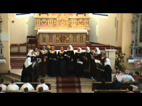 KUD Ravnica Stari Perkovci 14. Pučko crkveno pjevanje pri 48. Đakovačkim vezovima