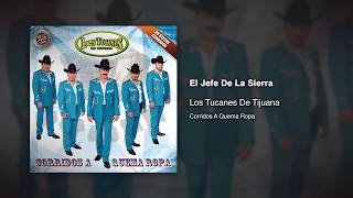 El Jefe De La Sierra - Los Tucanes De Tijuana [Audio Oficial]