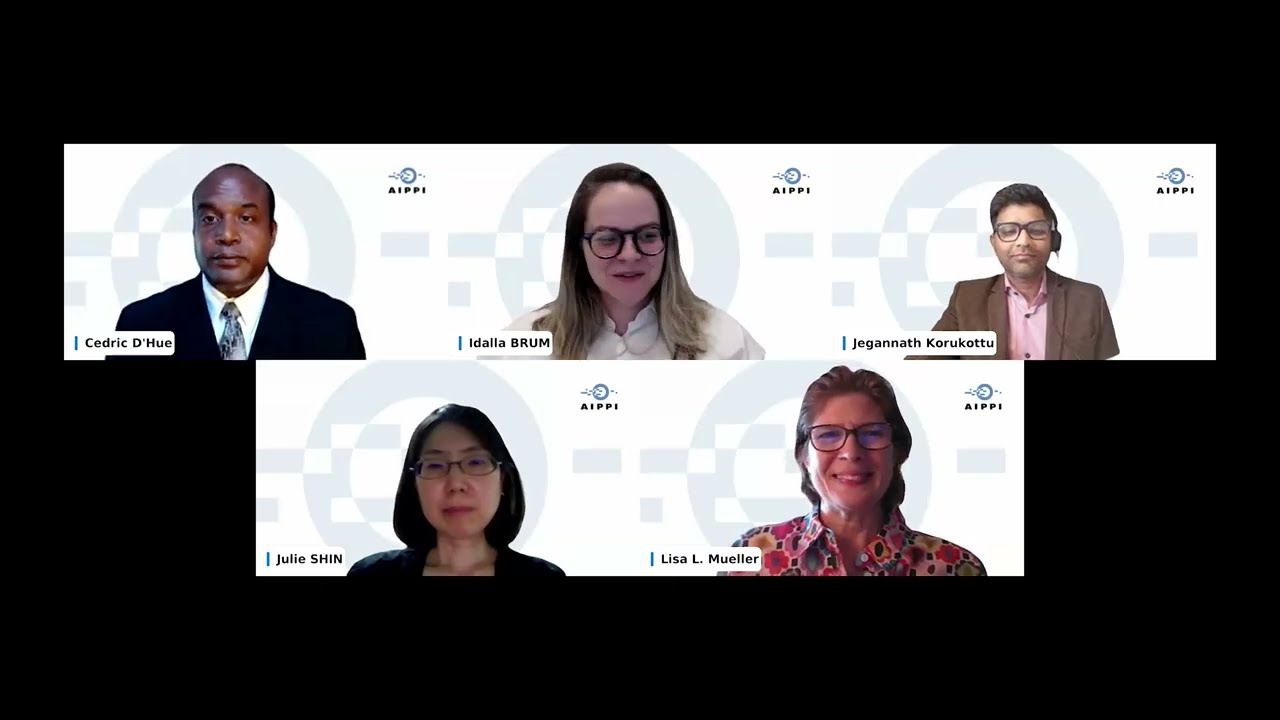 AIPPI D&I Committee - The Impact of Affirmative Action Rulings on DEI Programs